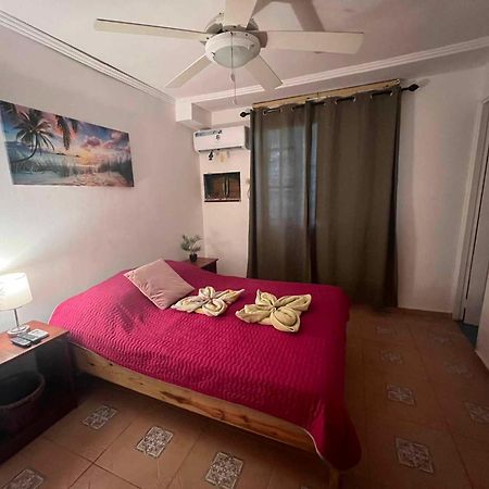 Hotel Tierra Verde Bed And Breakfast Bocas Town Exterior foto