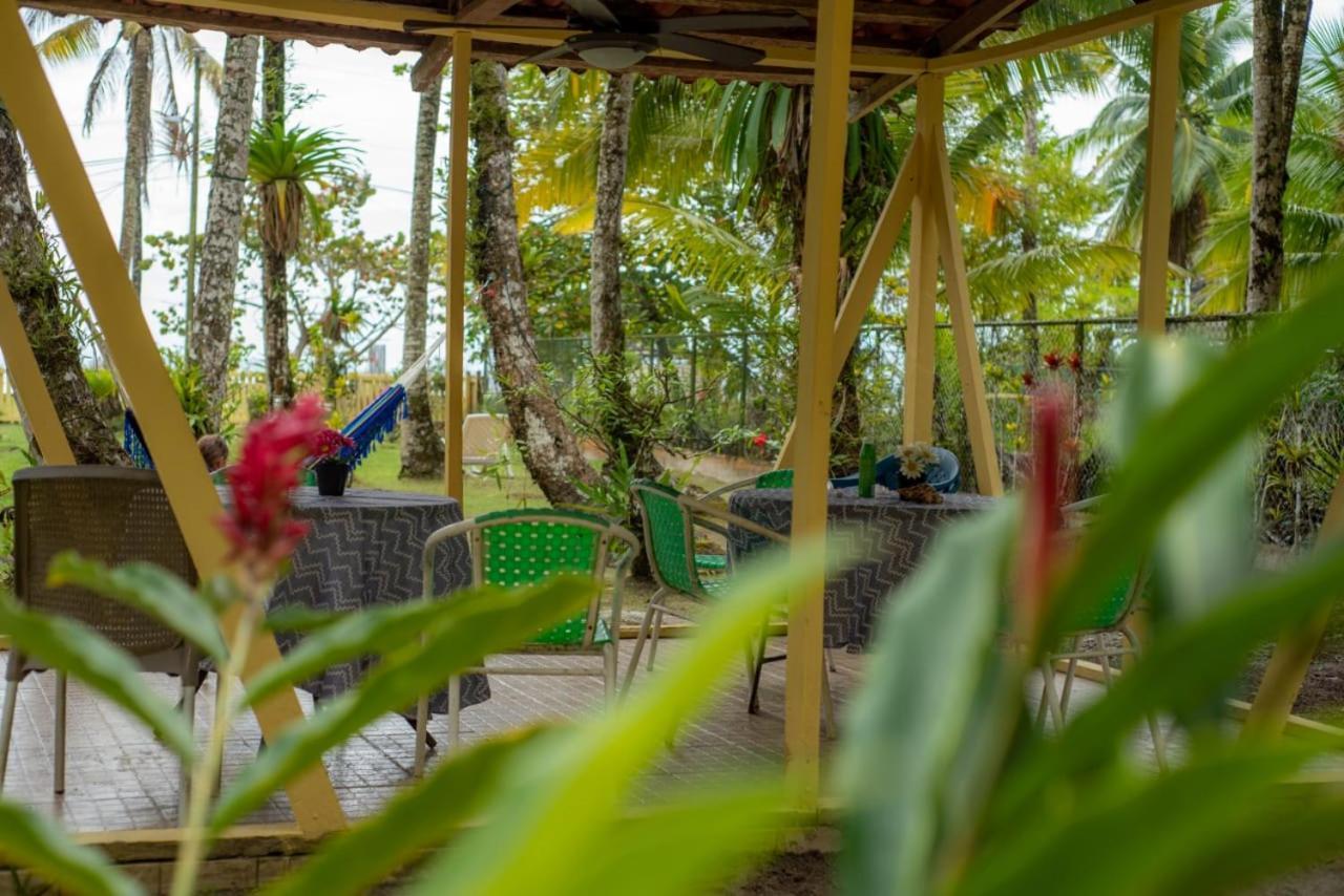 Hotel Tierra Verde Bed And Breakfast Bocas Town Exterior foto