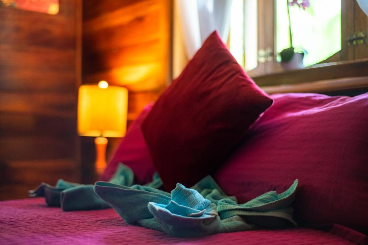 Hotel Tierra Verde Bed And Breakfast Bocas Town Exterior foto
