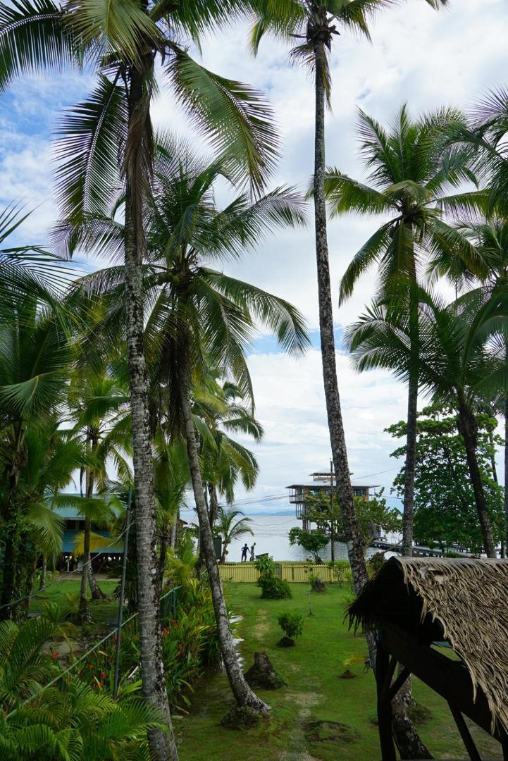 Hotel Tierra Verde Bed And Breakfast Bocas Town Exterior foto