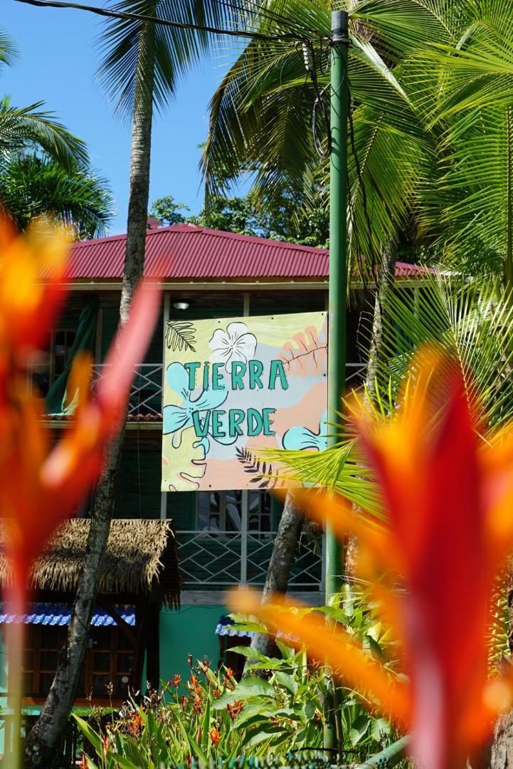 Hotel Tierra Verde Bed And Breakfast Bocas Town Exterior foto